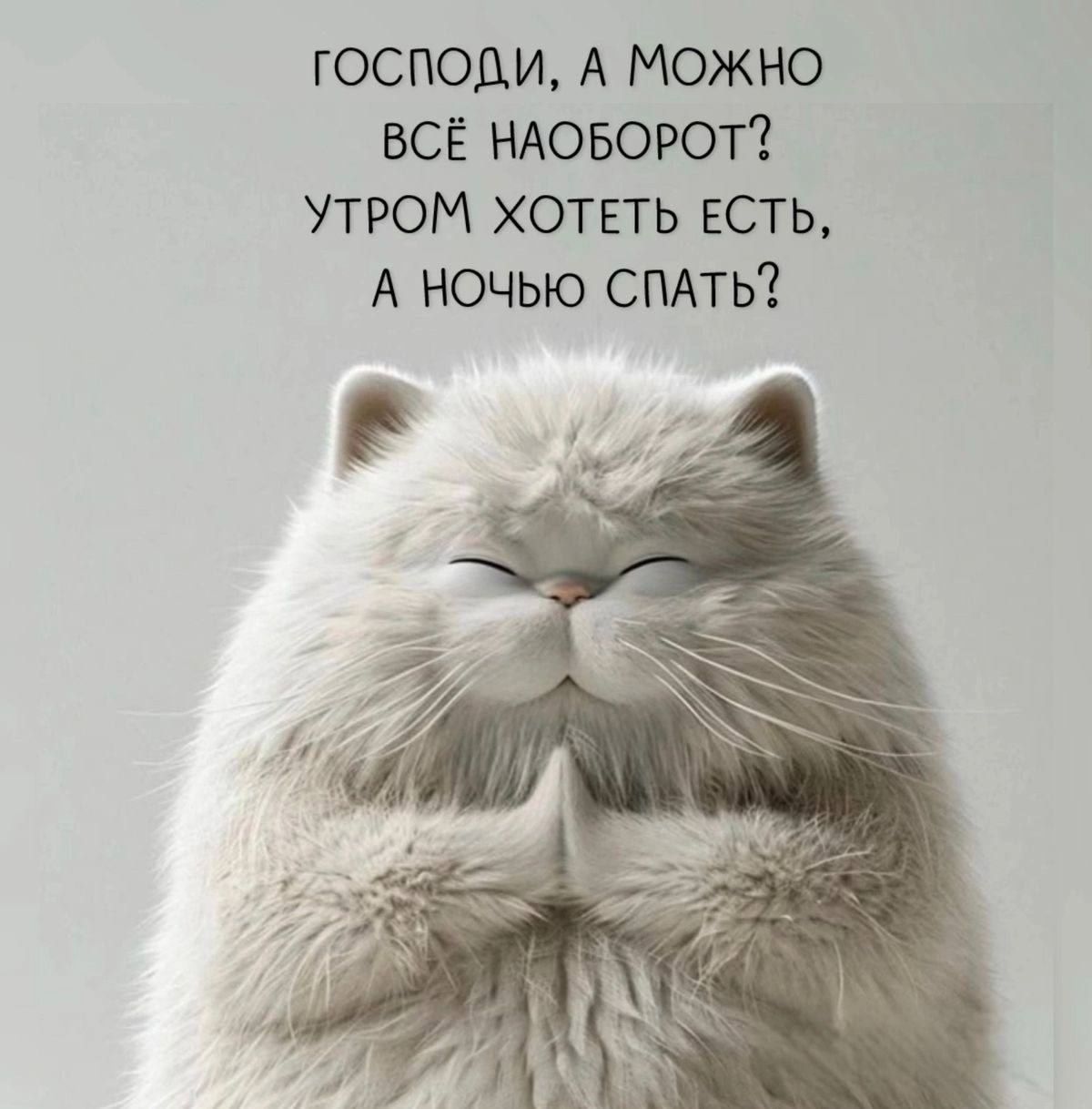 ГОСПОДИ, А МОЖНО ВСЁ НАОБОРОТ?\nУТРОМ ХОТЕТЬ ЕСТЬ, А НОЧЬЮ СПАТЬ?