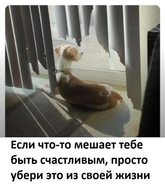 Если что-то мешает тебе быть счастливым, просто убери это из своей жизни