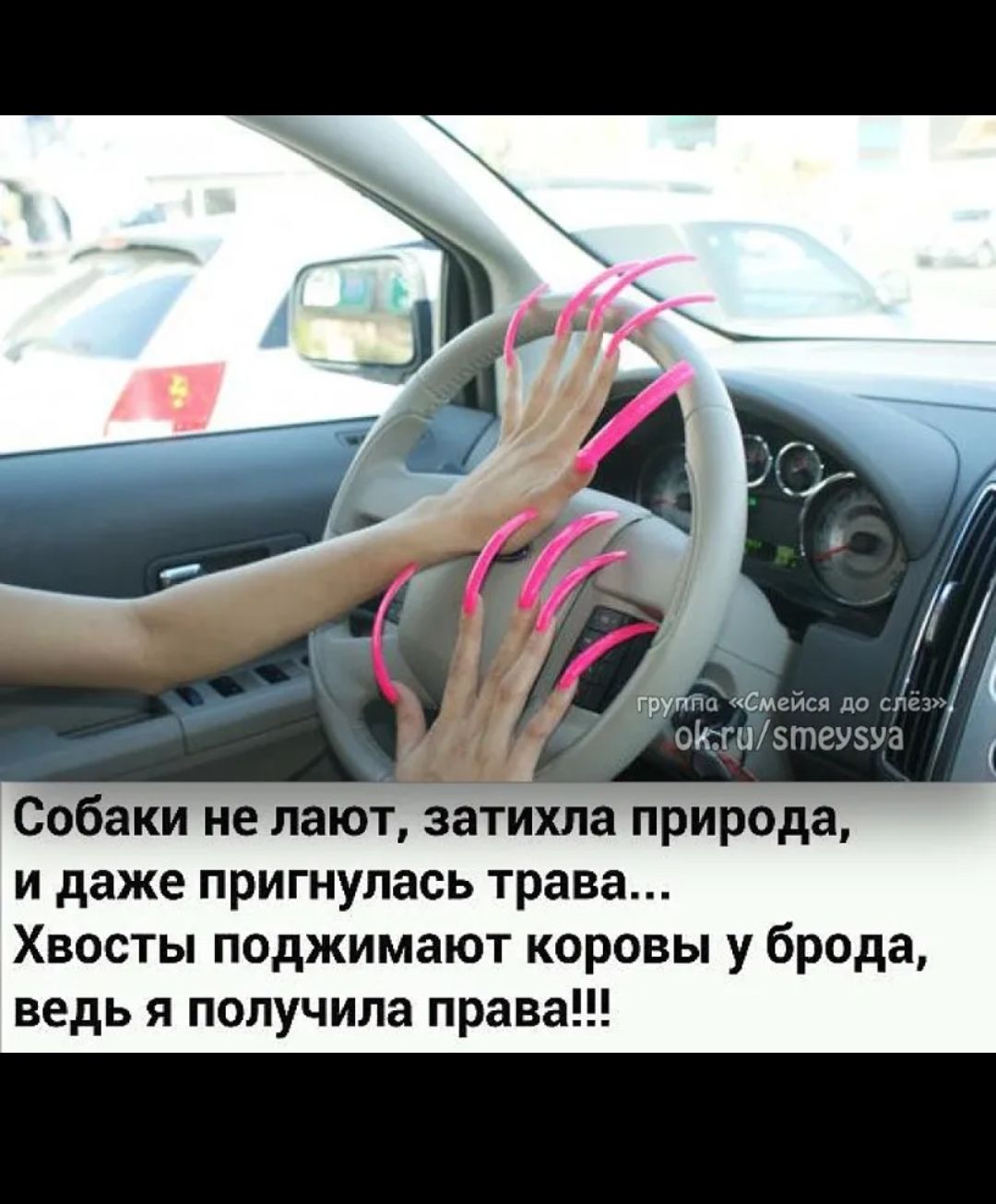 Собаки не лают, затихла природа, и даже пригнулась трава... Хвосты поджимают коровы у брода, ведь я получила права!!!