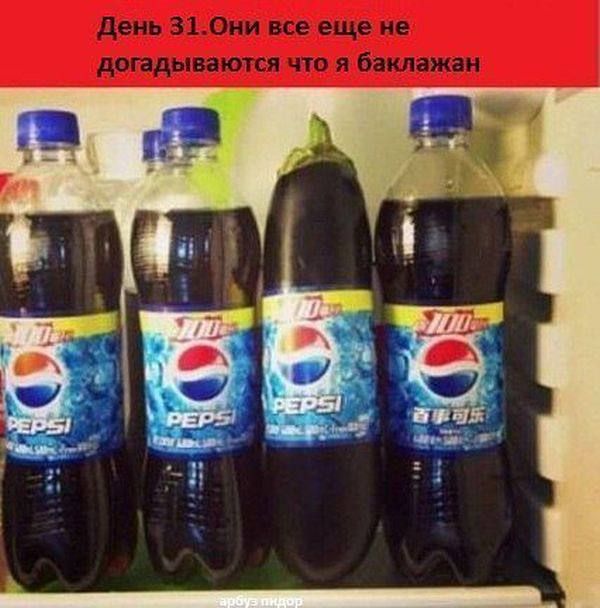 День 31. Они все еще не догадываются что я баклажан