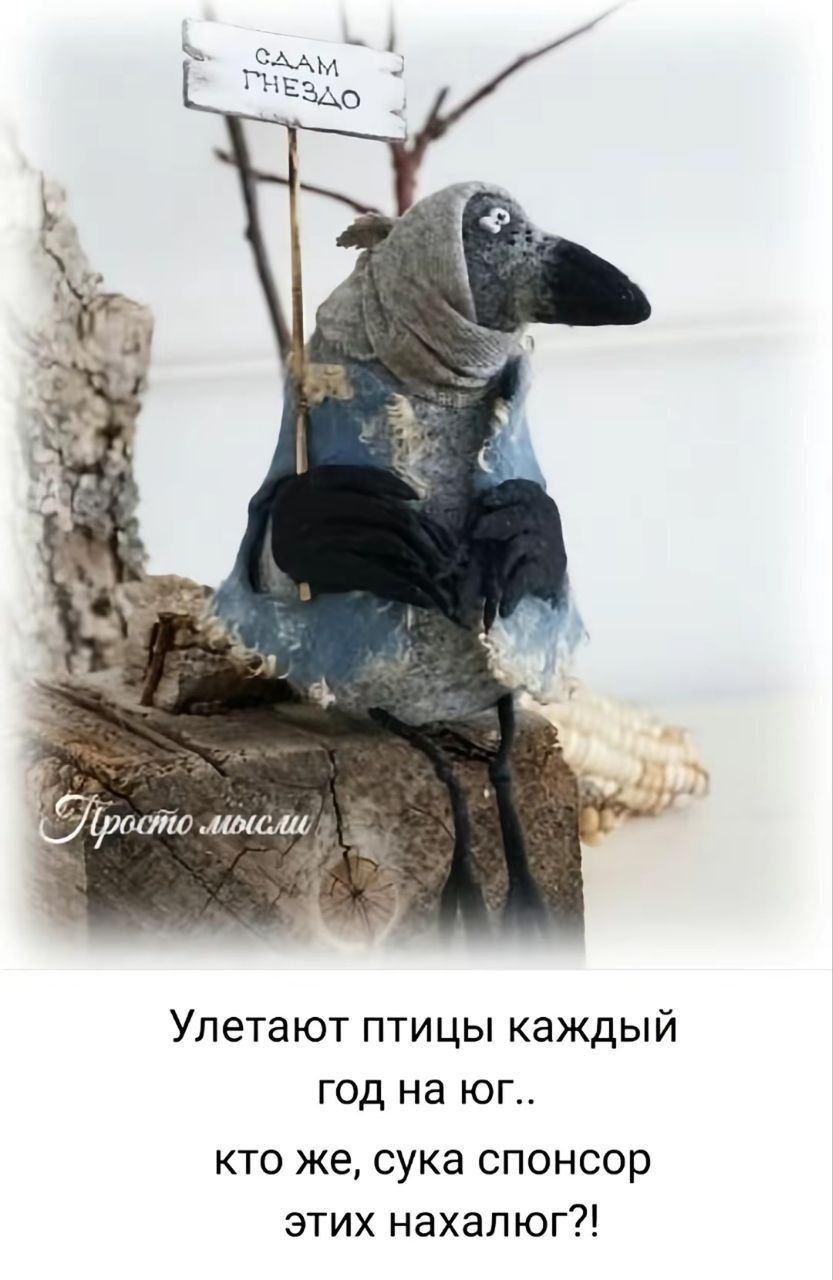 Улетают птицы каждый год на юг.. кто же, сука спонсор этих нахальг?!