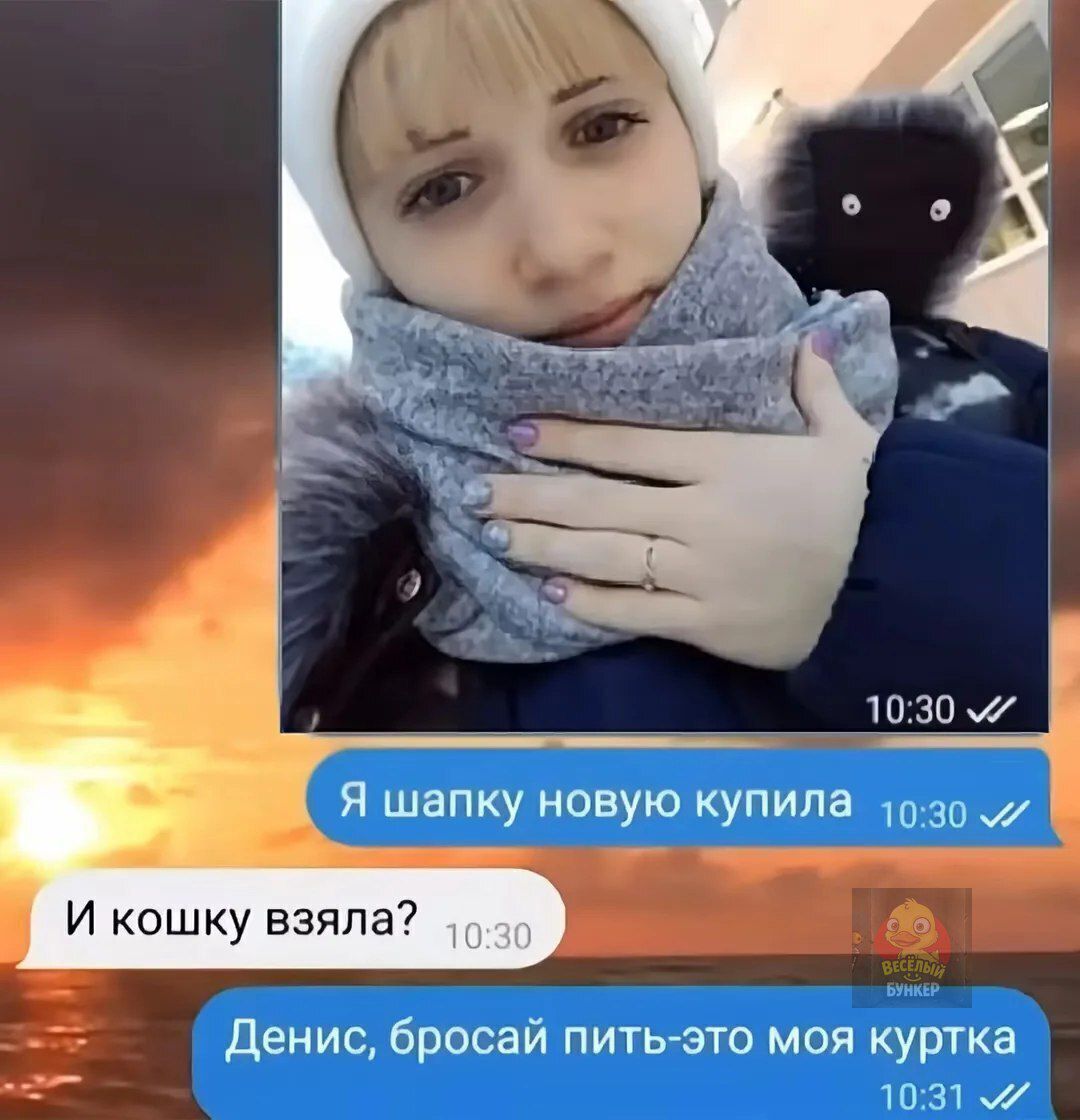Я шапку новую купила
И кошку взяла?
Денис, бросай пить-это моя куртка