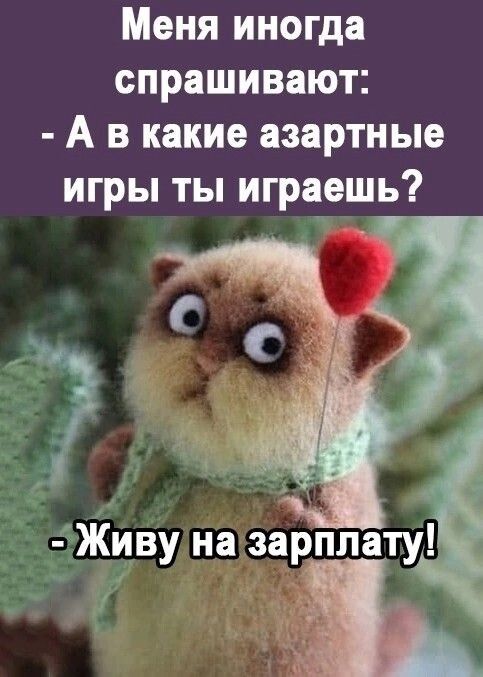 Меня иногда спрашивают: - А в какие азартные игры ты играешь? - Живу на зарплату!