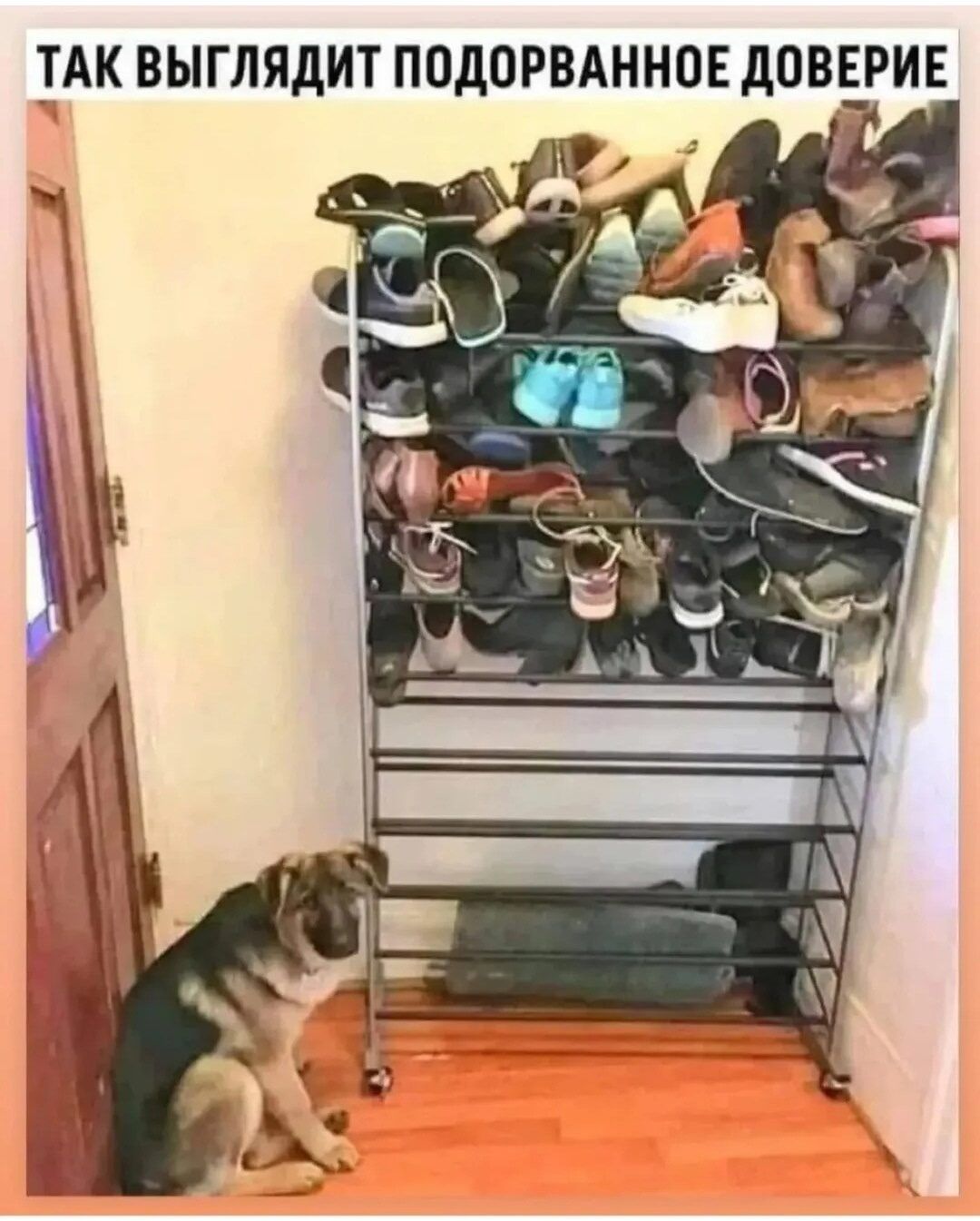 ТАК ВЫГЛЛЯДИТ ПОДОРВАННОЕ ДОВЕРИЕ