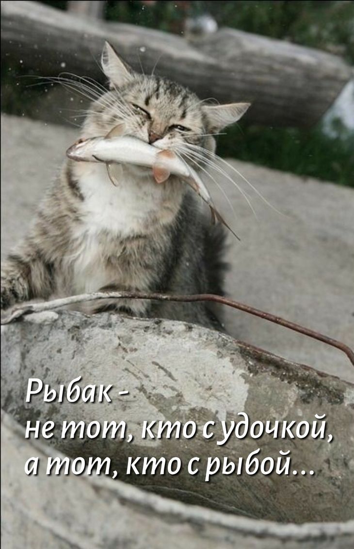 Рыбак - не тот, кто с удочкой, а тот, кто с рыбой...