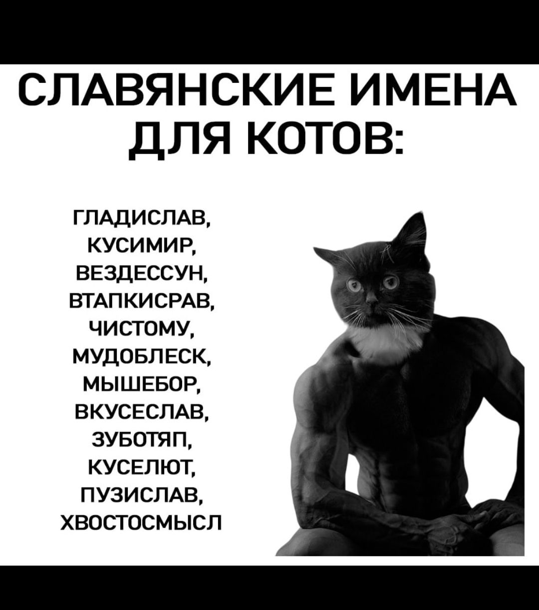СЛАВЯНСКИЕ ИМЕНА ДЛЯ КОТОВ:\nГЛАДИСЛАВ, КУСИМИР, ВЕЗДЕССУН, ВТАПКИСРАВ, ЧИСТОМУ, МУДОБЛЕСК, МЫШЕБОР, ВКУСЕССЛАВ, ЗУБОЯП, КУСЕЛЮТ, ПУЗИСЛАВ, ХВОСТОСМЛ