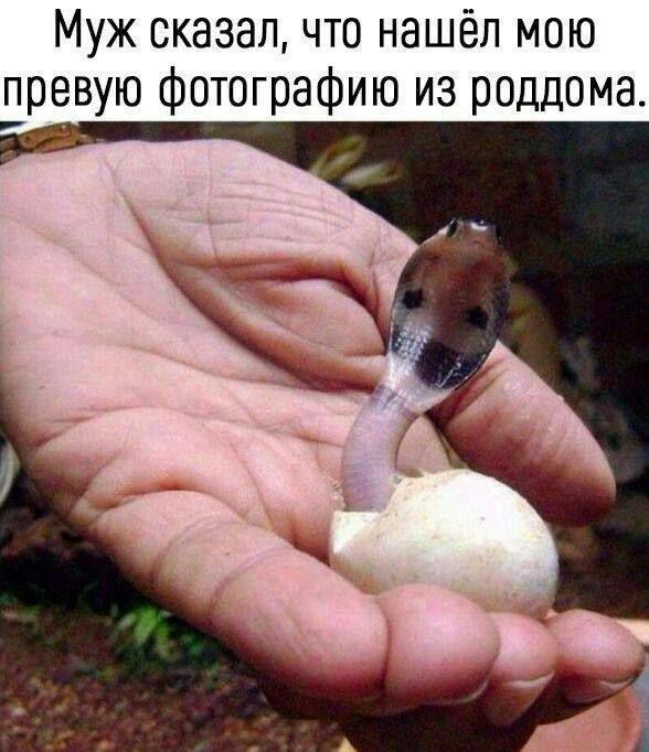 Муж сказал, что нашёл мою первую фотографию из роддома.