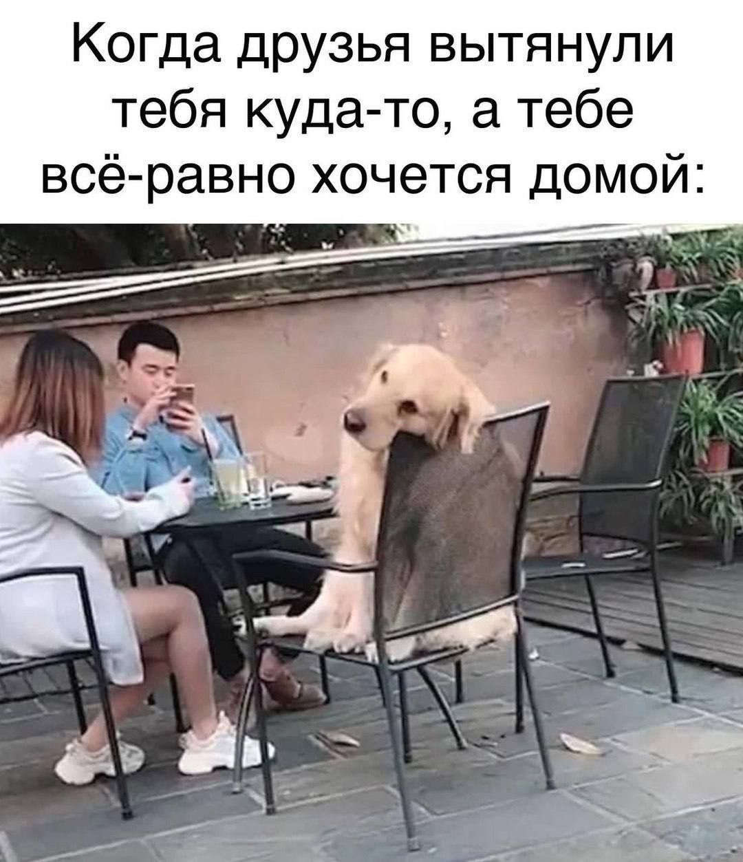 Когда друзья вытянули тебя куда-то, а тебе всё-равно хочется домой: