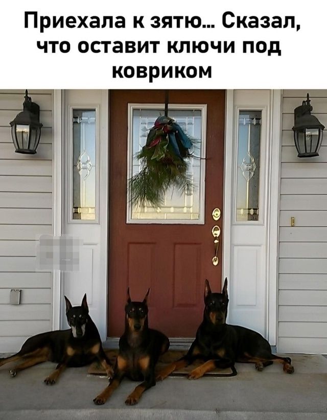Приехала к зятю... Сказал, что оставит ключи под ковриком