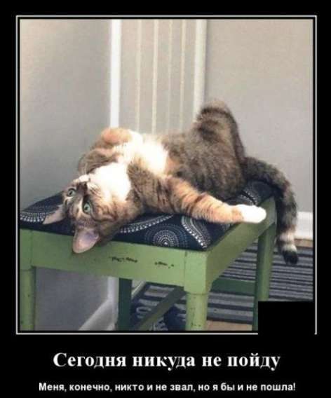 Сегодня никуда не пойду. Меня, конечно, никто и не звал, но я бы и не пошла!