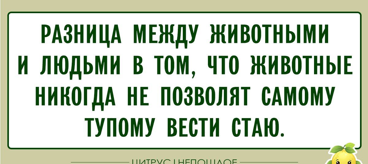 РАЗНИЦА МЕЖДУ ЖИВОТНЫМИ И ЛЮДЬМИ В ТОМ, ЧТО ЖИВОТНЫЕ НИКОГДА НЕ ПОЗВОЛЯЮТ САМОМУ ТУПОМУ ВЕСТИ СТАЛО.