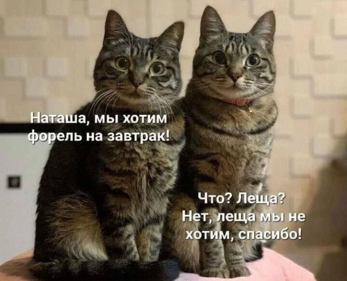 Наташа, мы хотим форель на завтрак! Что? Леща? Нет, леща мы не хотим, спасибо!