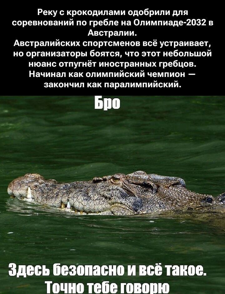 Реку с крокодилами одобрили для соревнований по гребле на Олимпиаде-2032 в Австралии. Австралийских спортсменов всё устраивает, но организаторы боятся, что этот небольшой нюанс оттолкнёт иностранных гребцов. Начинал как олимпийский чемпион — закончил как паралимпийский. Бро
Здесь безопасно и всё такое. Точно тебе говорю
