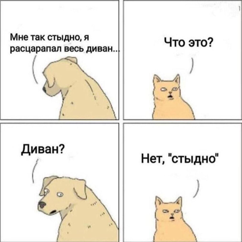 Мне так стыдно, я расцарапал весь диван...
Что это?
Диван?
Нет, 