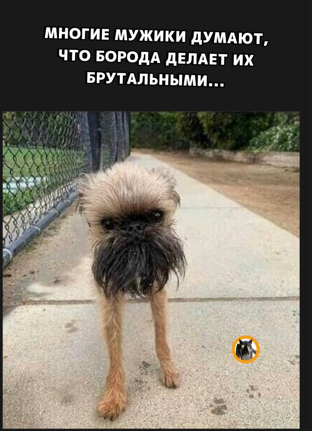 МНОГИЕ МУЖИКИ ДУМАЮТ, ЧТО БОРОДА ДЕЛАЕТ ИХ БРУТАЛЬНЫМИ...