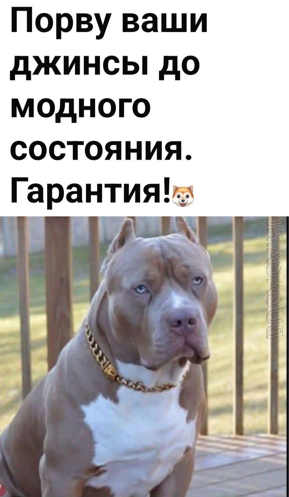 Порву ваши джинсы до модного состояния. Гарантия!