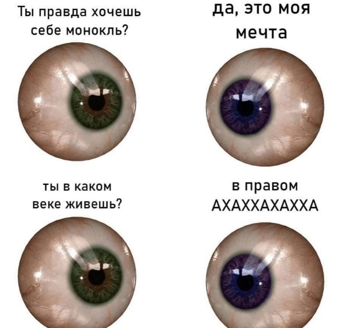 Ты правда хочешь себе монокль?
да, это моя мечта
ты в каком веке живешь?
в правом АХАХХХХА