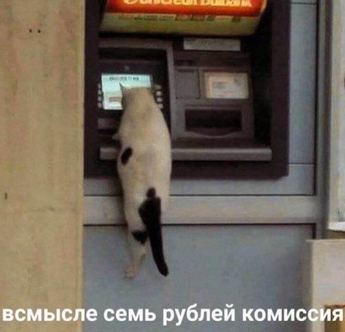 в смысле семь рублей комиссия