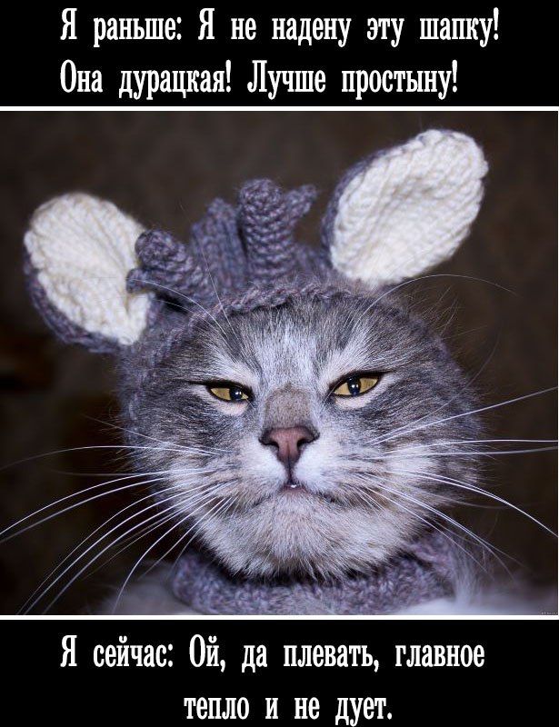 Я раньше: Я не надену эту шапку! Она дурацкая! Лучше простыню!\nЯ сейчас: Ой, да плевать, главное тепло и не лует.