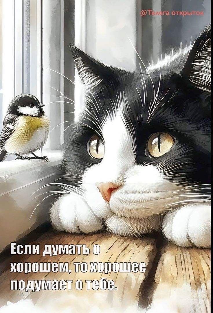 Если думать о хорошем, то хорошее подумает о тебе.