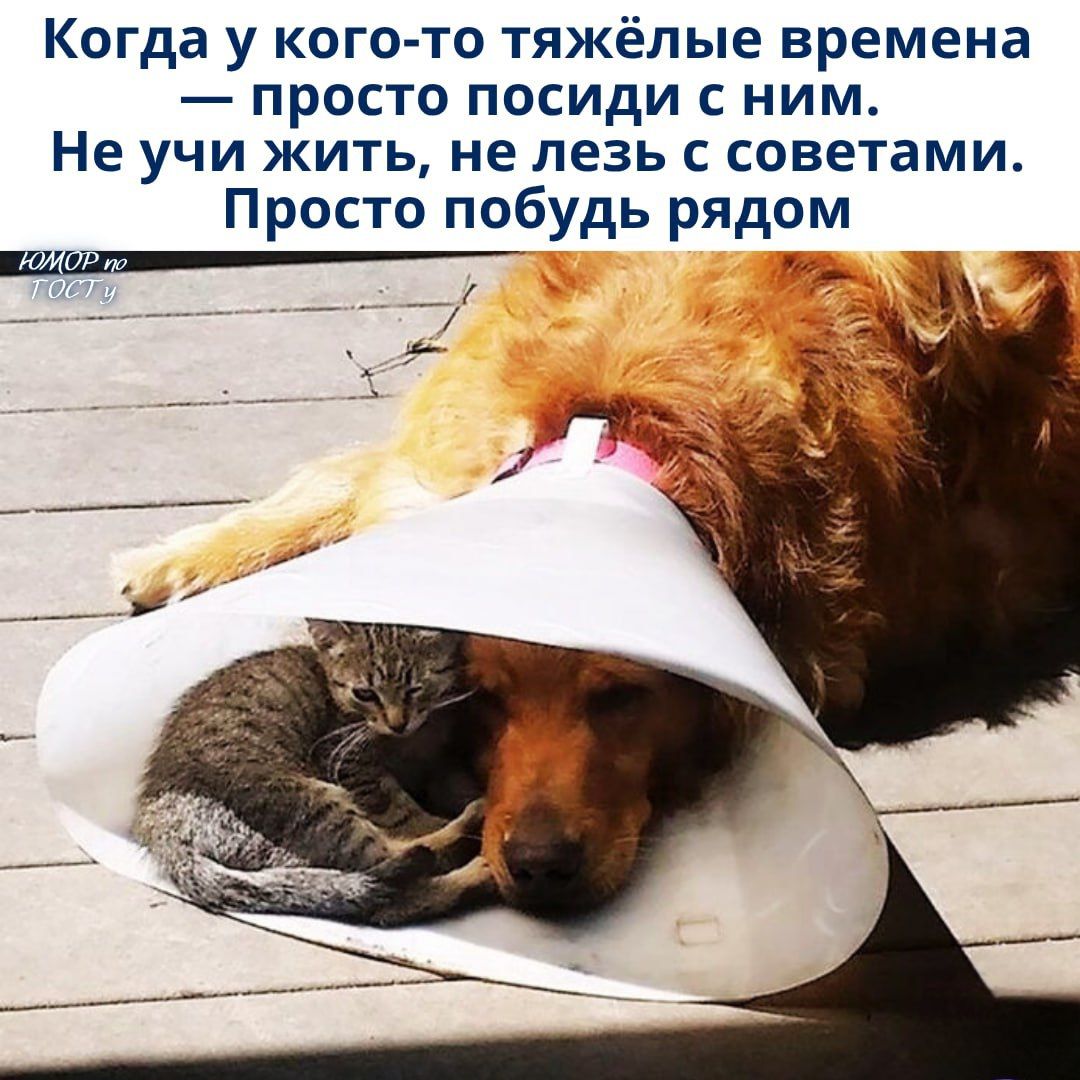 Когда у кого-то тяжёлые времена — просто посиди с ним. Не учи жить, не лезь с советами. Просто побудь рядом