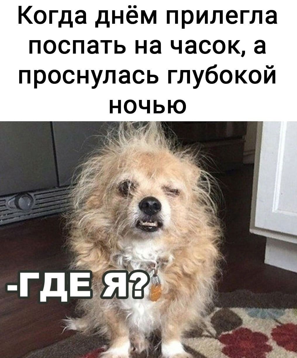 Когда днём прилегла поспать на часов, а проснулась глубокой ночью -ГДЕ Я?