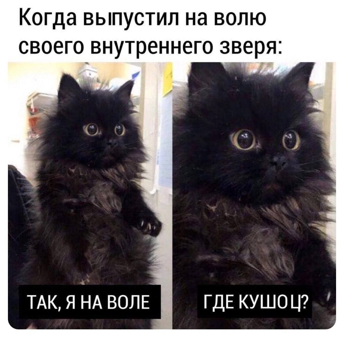 Когда выпустил на волю своего внутреннего зверя:

ТАК, Я НА ВОЛЕ
ГДЕ КУШЮ?