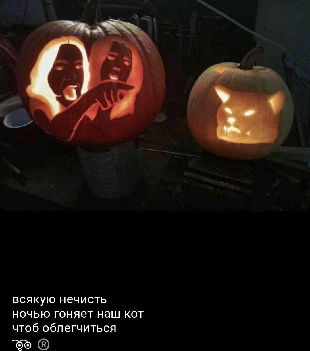 всякую нечисть ночью гоняет наш кот чтоб облегчиться