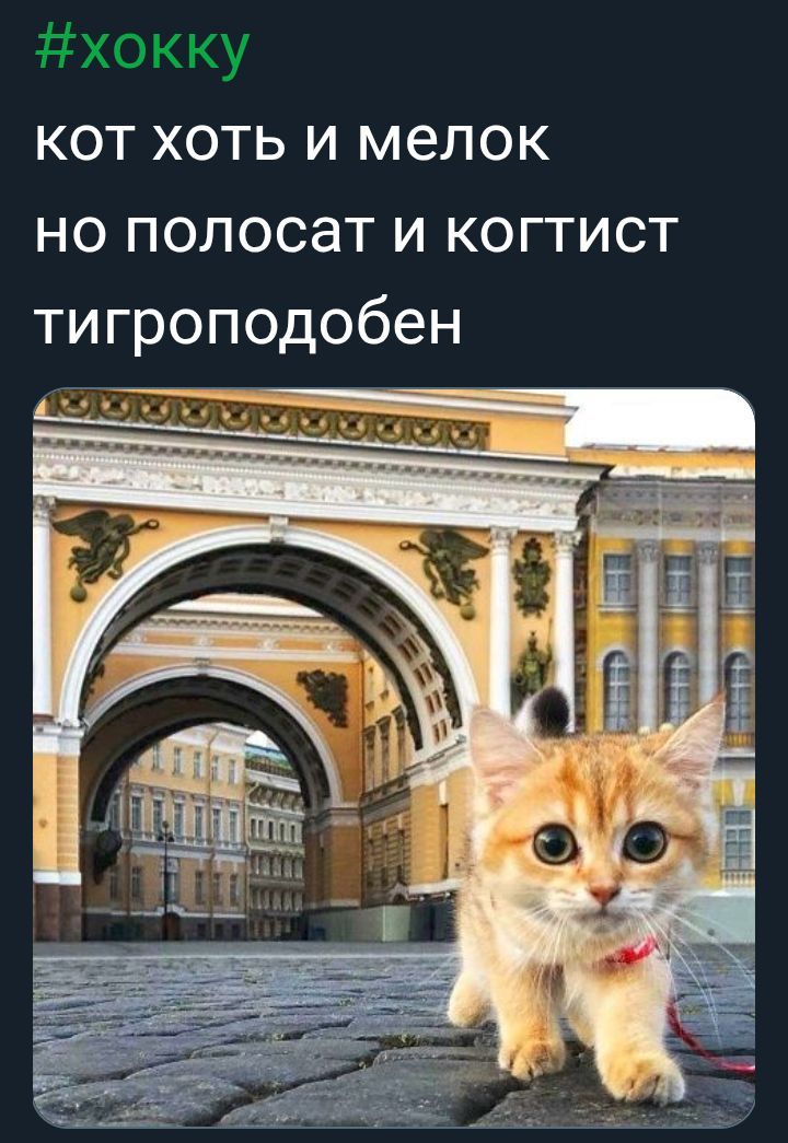 кот хоть и мелок но полосат и когтист тигроподобен