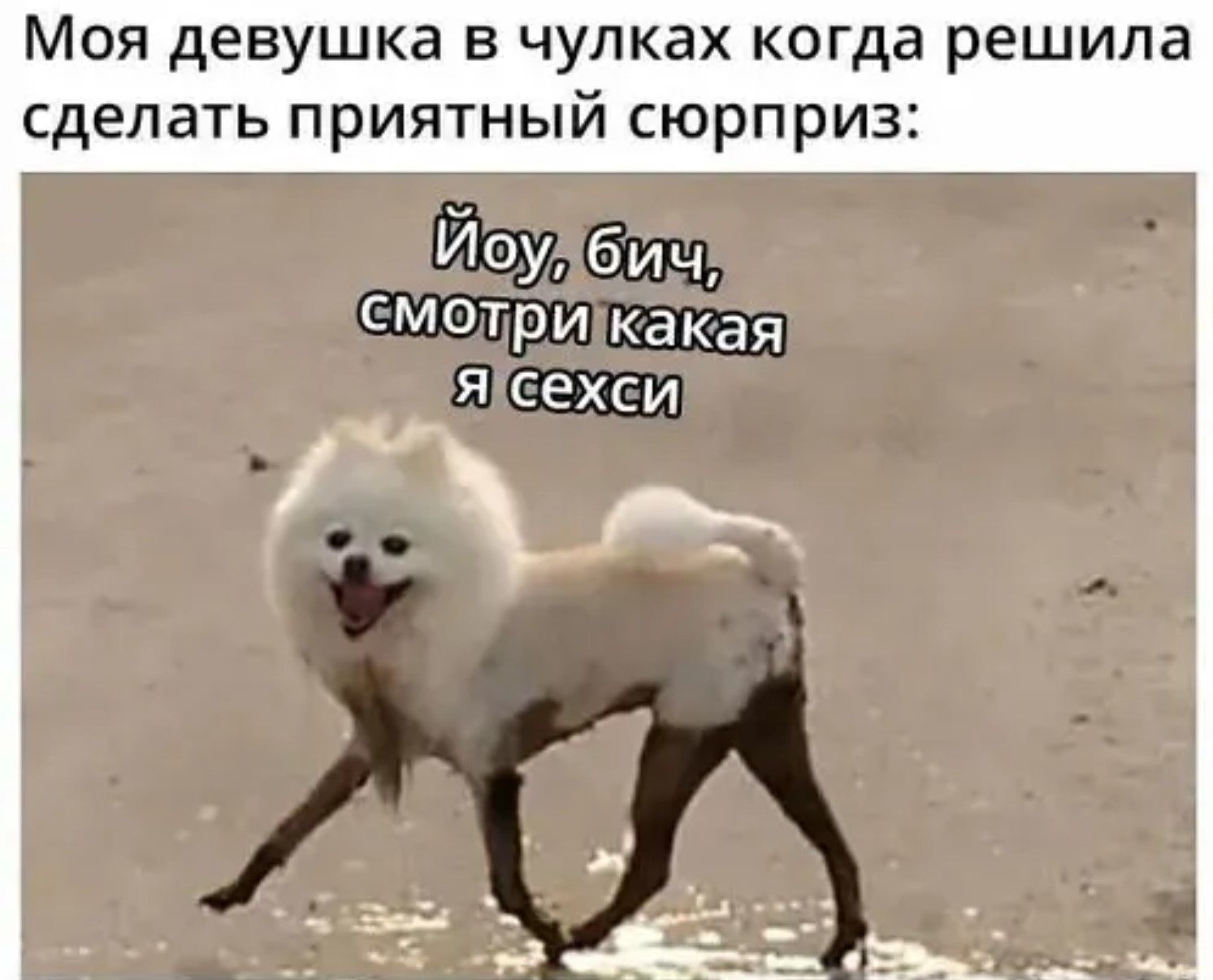 Моя девушка в чалках когда решила сделать приятный сюрприз:
Йоу, бич, смотри какая я сексси