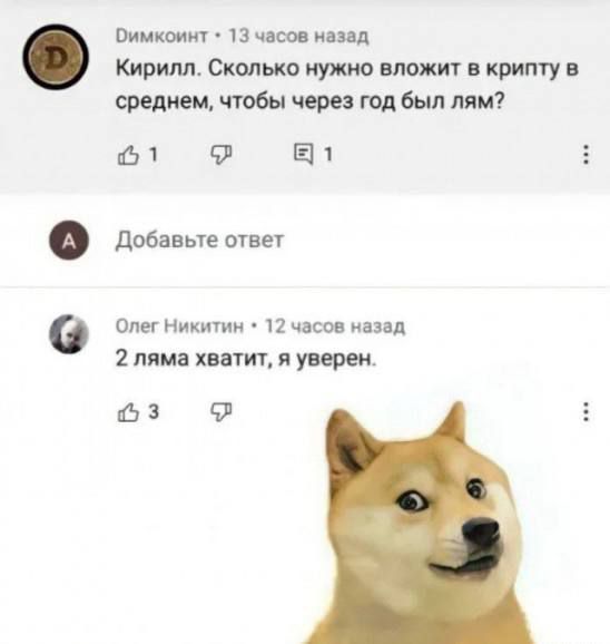Димконт • 13 часов назад Кирилл. Сколько нужно вложить в крипту в среднем, чтобы через год был лям?\nОлег Никитин • 12 часов назад 2 ляма хватит, я уверен.