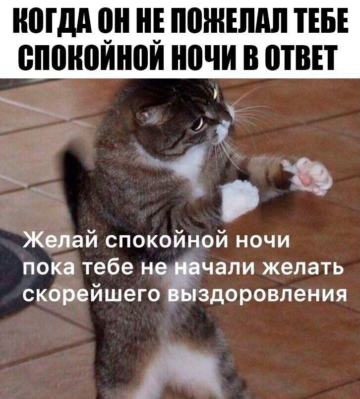 КОГДА ОН НЕ ПОЖЕЛАЛ ТЕБЕ СПОКОЙНОЙ НОЧИ В ОТВЕТ
ЖЕЛАЙ СПОКОЙНОЙ НОЧИ ПОКА ТЕБЕ НЕ НАЧАЛИ ЖЕЛАТЬ СКОРЕЙШЕГО ВЫЗДОРОВЛЕНИЯ