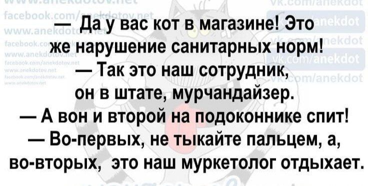 Да у вас кот в магазине! Это же не нарушение санитарных норм!\n— Так это наш сотрудник, мурчандайзер.\n— А он и второй на подоконнике спит!\n— Во-первых, не тыкайте пальцем, а во-вторых, это наш мурколог отдыхает.