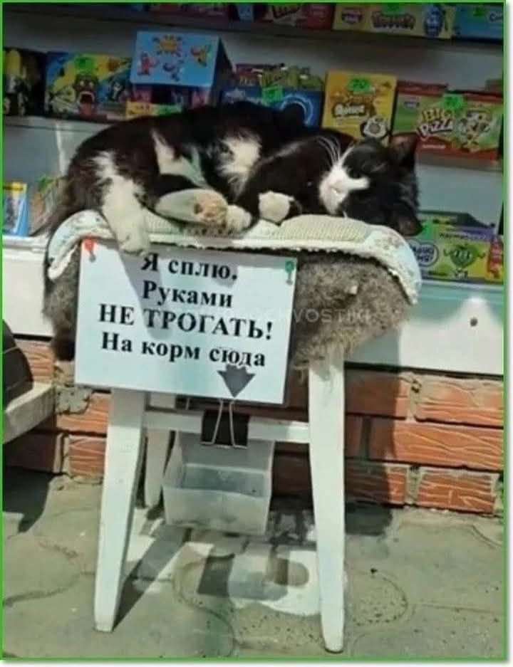 Я сплю. Руками НЕ ТРОГАТЬ! На корм сюда