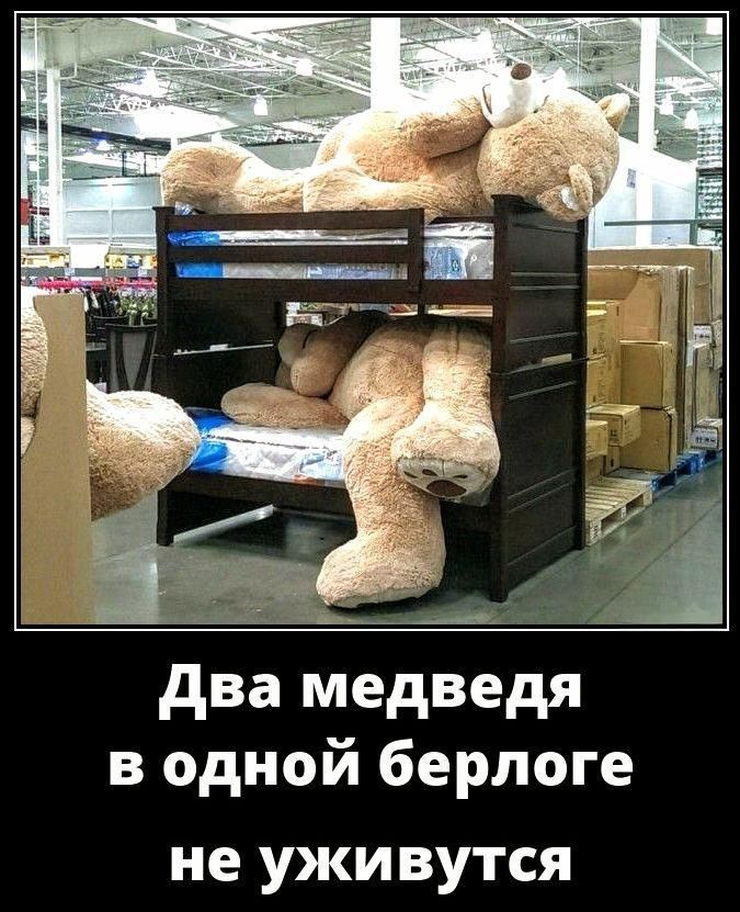 Два медведя в одной берлоге не уживутся