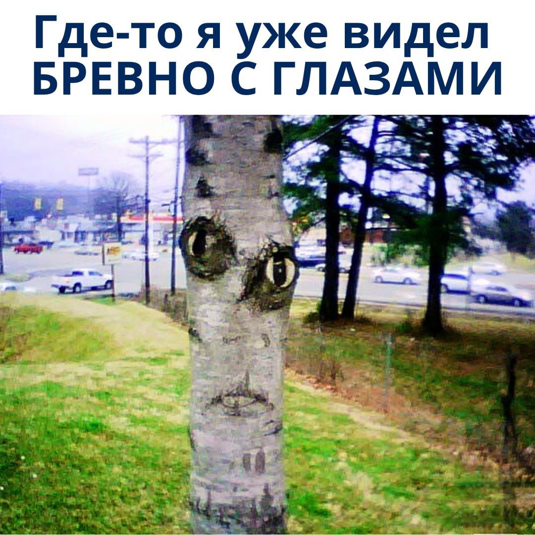 Где-то я уже видел БРЕВНО С ГЛАЗАМИ