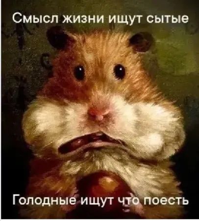 Смысл жизни ищут сытые
Голодные ищут что поесть