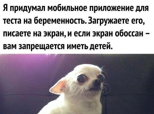 Я придумал мобильное приложение для теста на беременность. Загружаете его, пишете на экран, и если экран обоссан – вам запрещается иметь детей.