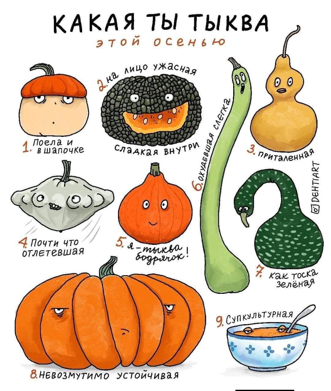 КАКАЯ ТЫ ТЫКВА ЭТОЙ ОСЕНЬЮ. (юмористическая карта личностей тыкв)