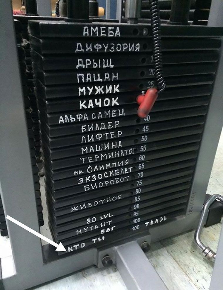 АМЕБА
ДИФУЗОРИЯ
ДРЫШ
ПАЦИН
МУЖИК
КАЧОК
АЛЬФА САМЕЦ
БИДЛЕР
ЛИФТЕР
МАШИНА
ТЕРМИНАТ
НР ОЛИМПИЯ
ЭКЗОСКЕЛЕТ
БИОРБОТ
ЖИВОТНОЕ