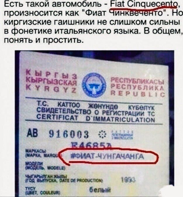 Есть такой автомобиль - Fiat Cinquecento, произносится как 'Фиат Чинкве́нто'. Но киргизские гашишники не слишком сильны в фонетике итальянского языка. В общем, понять и простить.

На фото снизу виден документ:CERTIFICAT D IMMATRICULATION, circled текст: ФИАТ-ЧУНИГАЧНГА (примерно отражает транслитерацию названия).