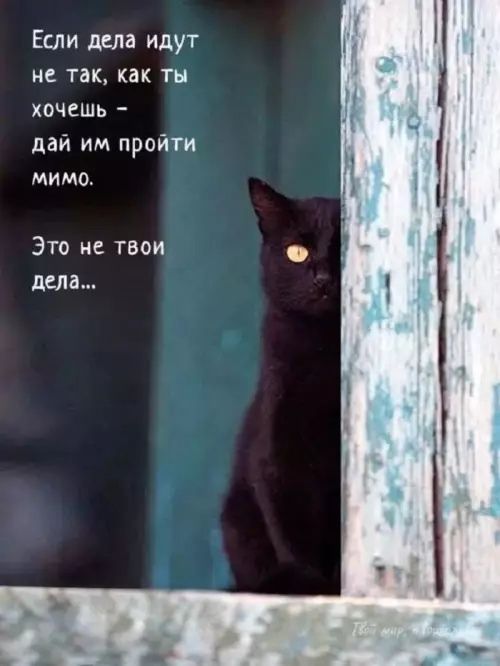 Если дела идут не так, как ты хочешь - дай им пройти мимо.
Это не твои дела...