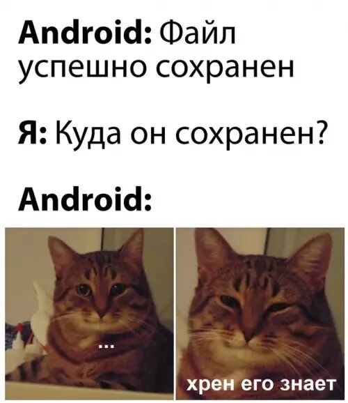 Android: Файл успешно сохранен
Я: Куда он сохранен?
Android: ...
хрен его знает