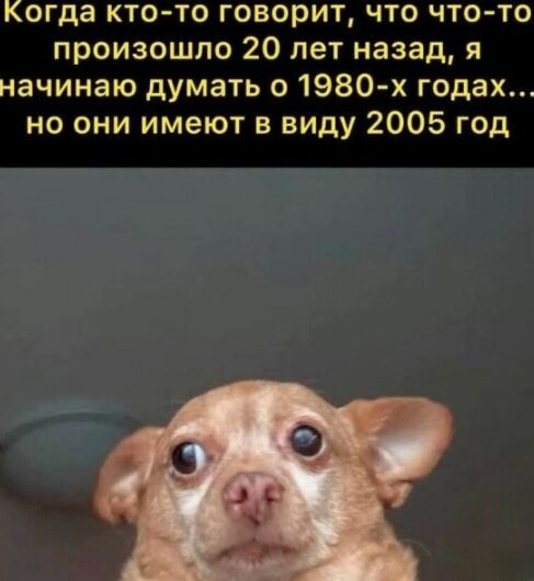 Когда кто-то говорит, что что-то произошло 20 лет назад, я начинаю думать о 1980-х годах... но они имеют в виду 2005 год