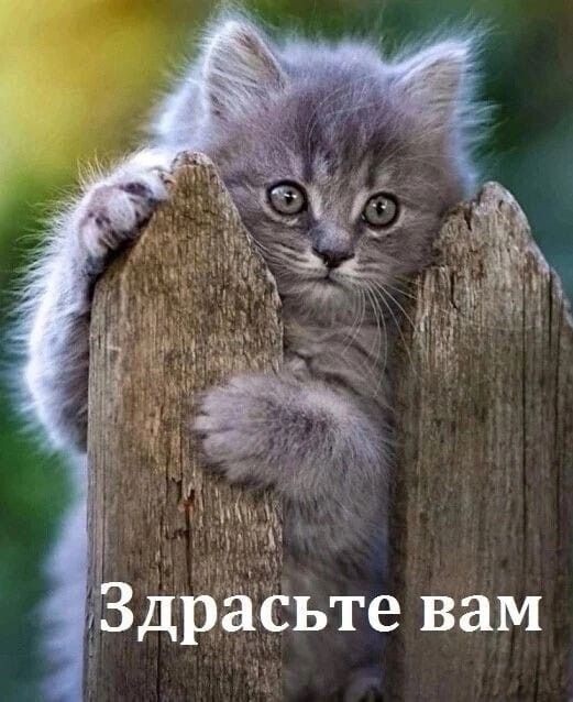 Здрасте вам