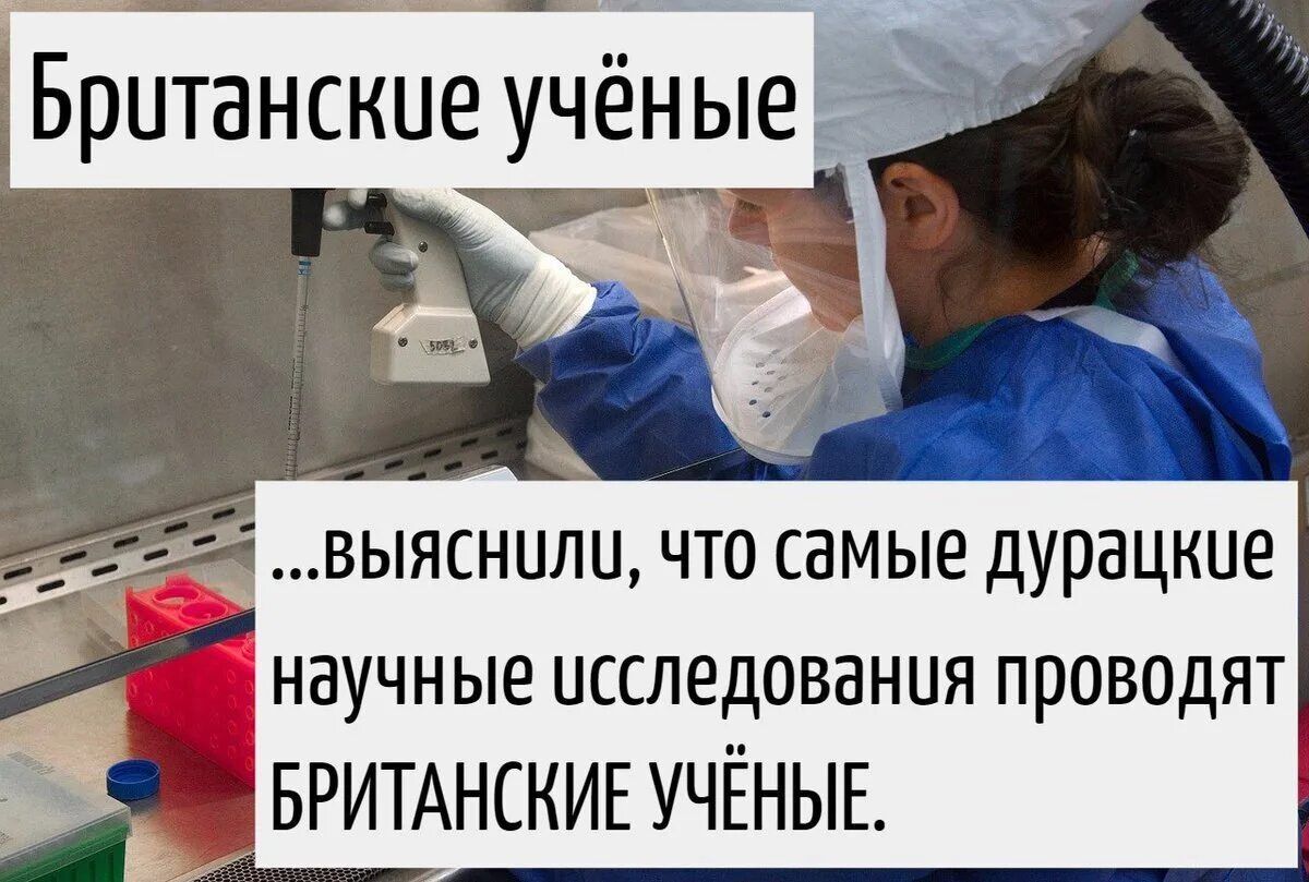 Британские учёные ... выяснили, что самые дурацкие научные исследования проводят Британские учёные.