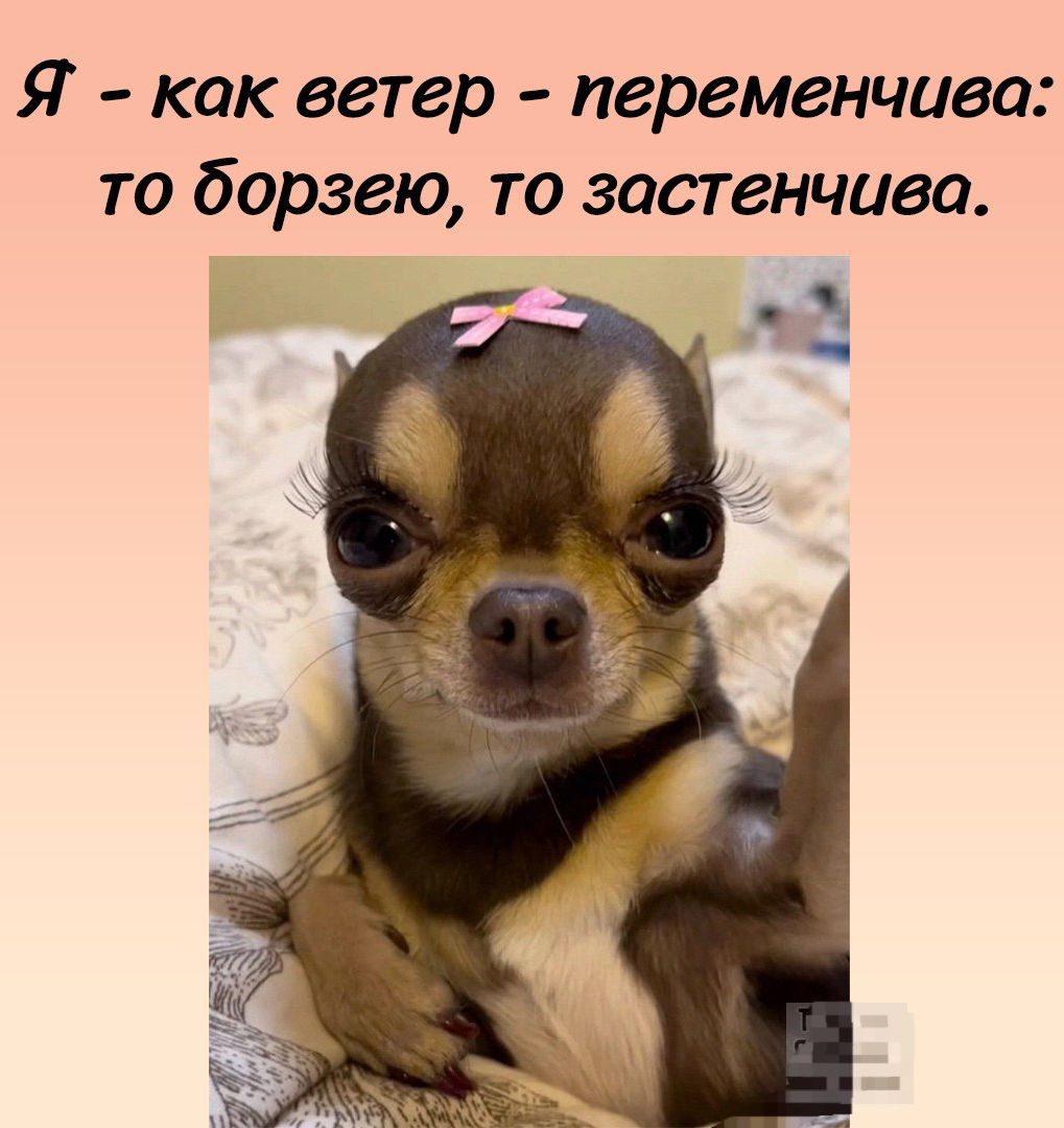 Я - как ветер - переменчива: то борзею, то застенчива.