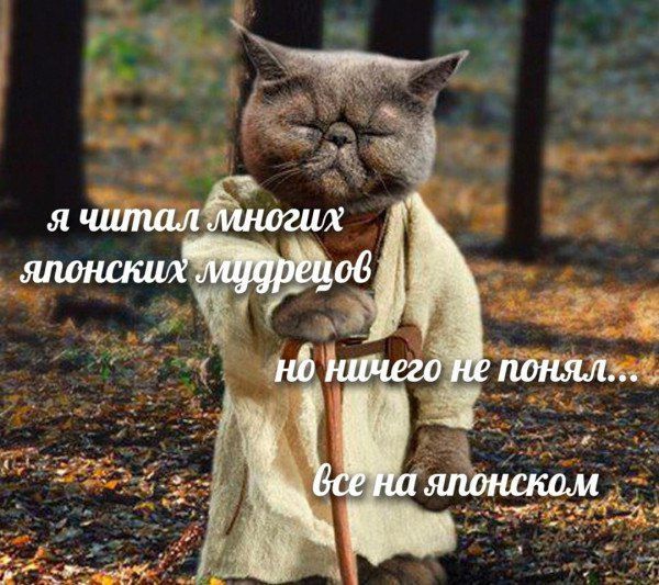 Я читал многих японских мудрецов но ничего не понял... всё на японском