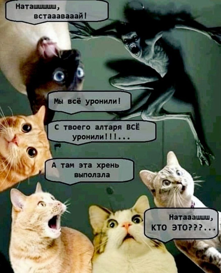 Наташшшш, встааааай! Мы всё уронили! С твоего алтаря всё уронили!!!... А там эта хрень выползла Наташаушш, КТО ЭТО???...