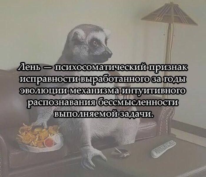 Лень — психосоматический признак исправности выработанного за годы эволюции механизма интуитивного распознавания бессмысленности выполняемой задачи.